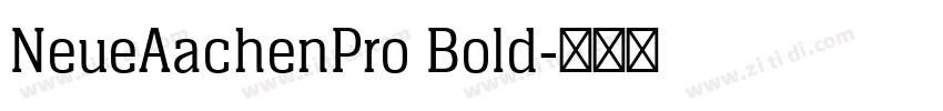 NeueAachenPro Bold字体转换